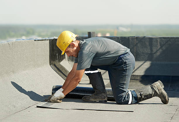 Best Blown-in Insulation  in Beechwood, MS