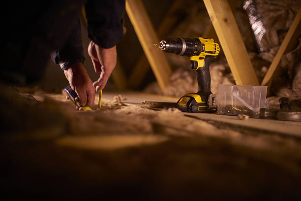 Best Insulation Removal  in Beechwood, MS